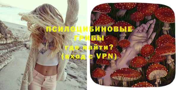 Альфа ПВП Магас